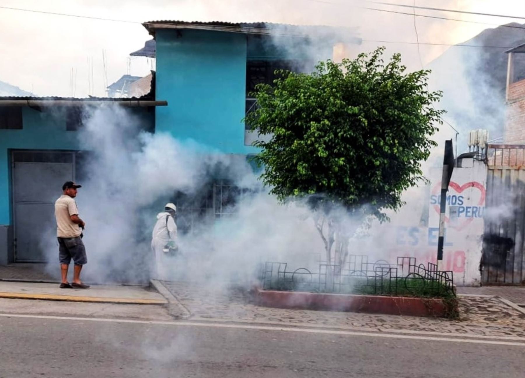 Autoridades de salud de Cajamarca confirman un brote de dengue en la provincia de Contumazá, donde se han reportado 26 casos en enero. Foto: ANDINA/difusión.