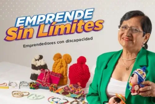 Conadis presenta nuevo formulario virtual para que personas con discapacidad impulsen sus emprendimientos a nivel nacional. Foto: ANDINA/Difusión