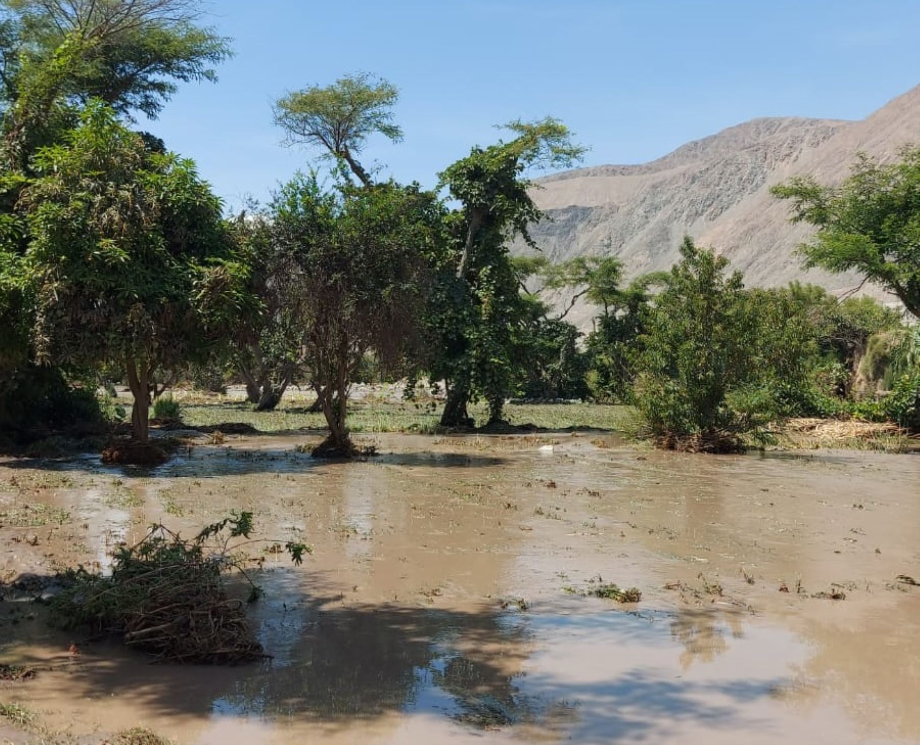 El distrito de Yanaquihua es uno de los más afectados por las lluvias intensas que se registran en la provincia de Condesuyos, región Arequipa. Foto: Los Protagonistas AQP/Facebook