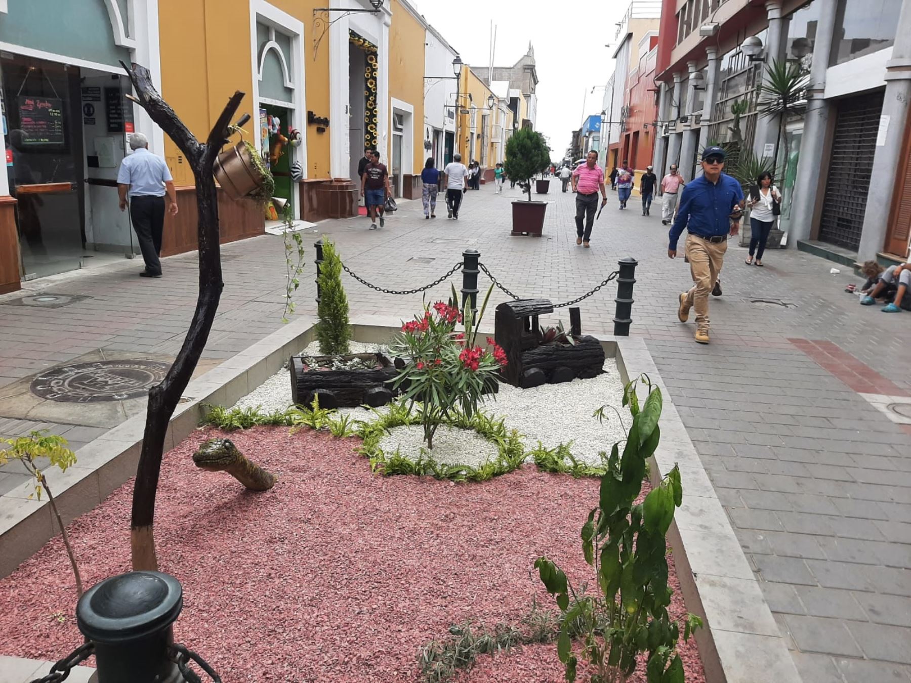 La ciudad de Trujillo recupera su ornato. La municipalidad recuperó las piletas del paseo Pizarro, ubicado en el centro histórico, y las convirtió en hermosos jardines. Foto: Luis Puell.