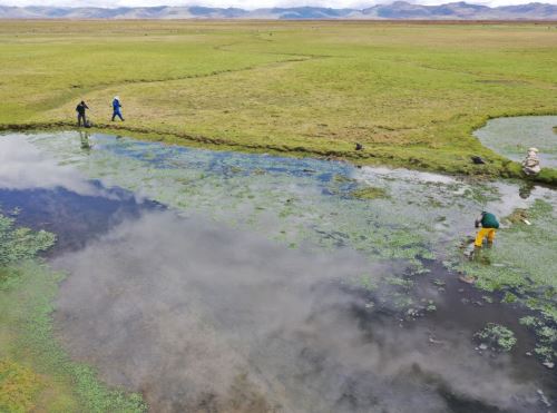 En el Día Mundial de los Humedales, comuneros y brigadistas de Junín y Pasco ejecutaron un trabajo de limpieza en la ribera del lago Chinchaycocha, el segundo más grande de Perú, y recogieron más de tres toneladas de residuos sólidos. ANDINA/Difusión