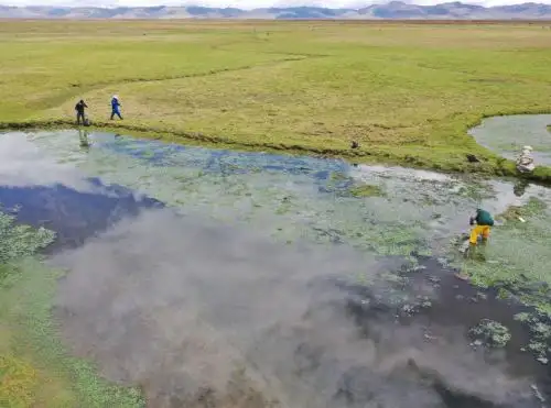 En el Día Mundial de los Humedales, comuneros y brigadistas de Junín y Pasco ejecutaron un trabajo de limpieza en la ribera del lago Chinchaycocha, el segundo más grande de Perú, y recogieron más de tres toneladas de residuos sólidos. ANDINA/Difusión