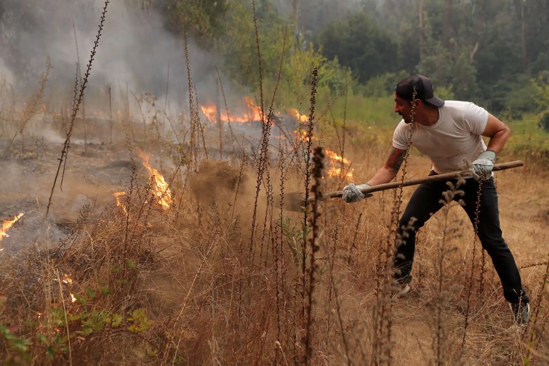 Chile declaró estado de desastre en varias regiones del centro-sur después de que una devastadora ola de calor provocara incendios forestales que dejaron cuatro muertos, dijeron las autoridades el Viernes.

Foto: AFP