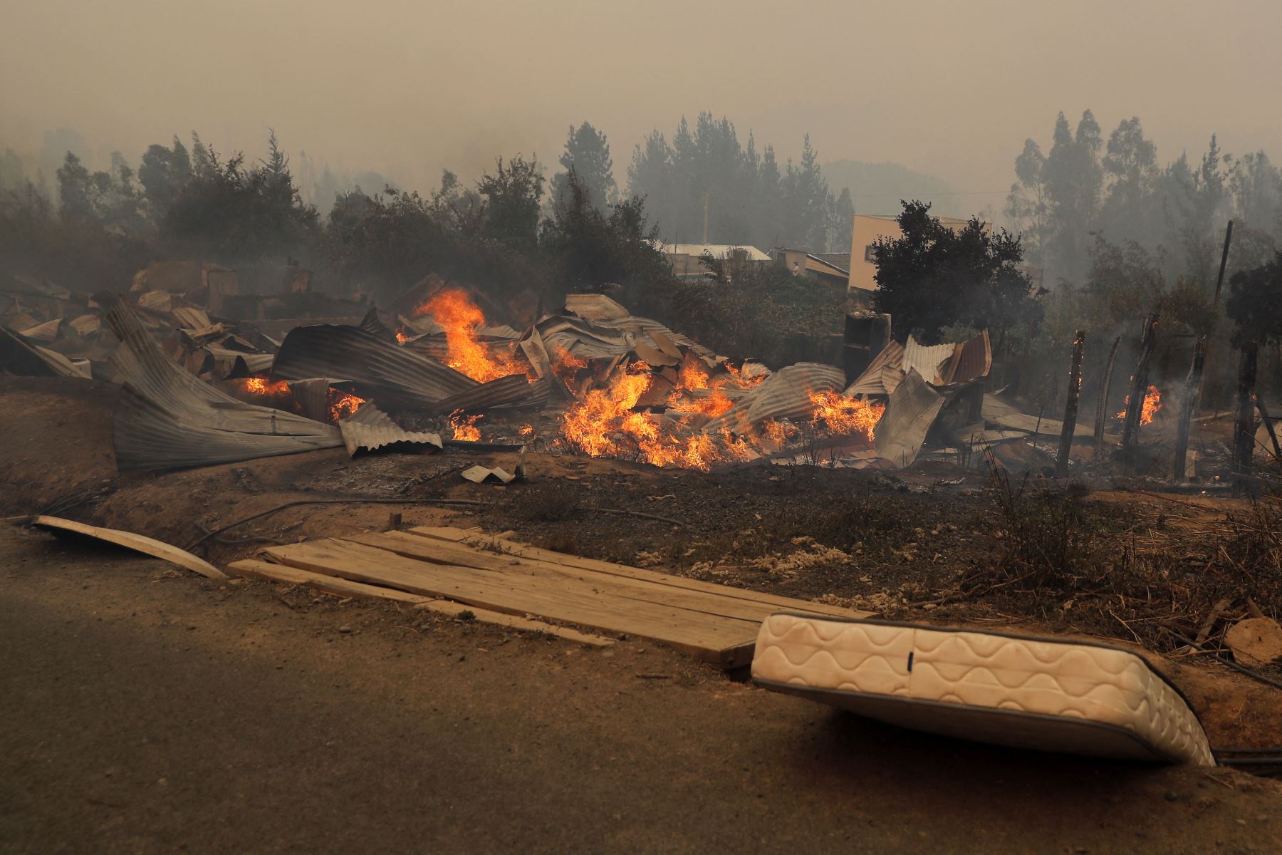 Vista del incendio en Santa Juana, provincia de Concepción, Chile el 3 de febrero de 2023.

Foto:AFP