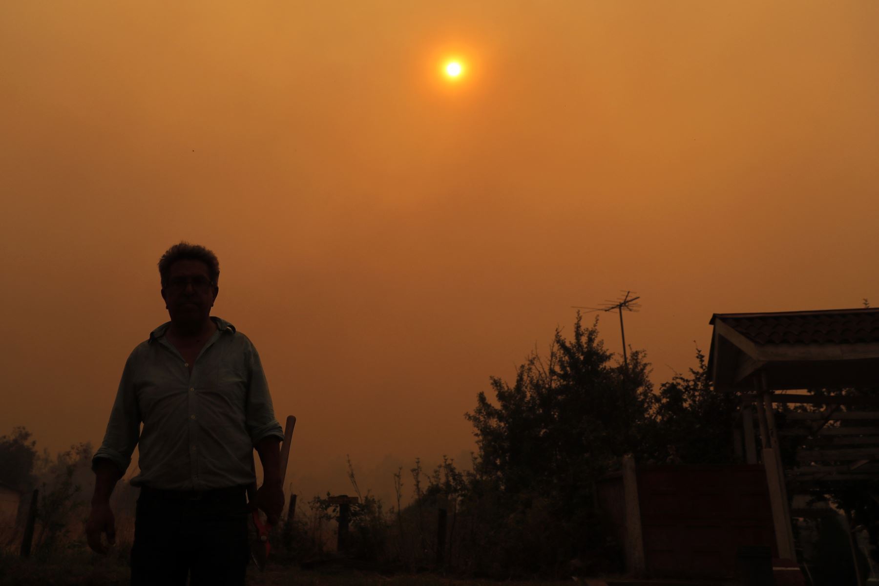 Chile declaró el estado de desastre en varias regiones del centro-sur después de que una devastadora ola de calor provocó incendios forestales que dejaron cuatro muertos, dijeron las autoridades. el viernes.

Foto: AFP