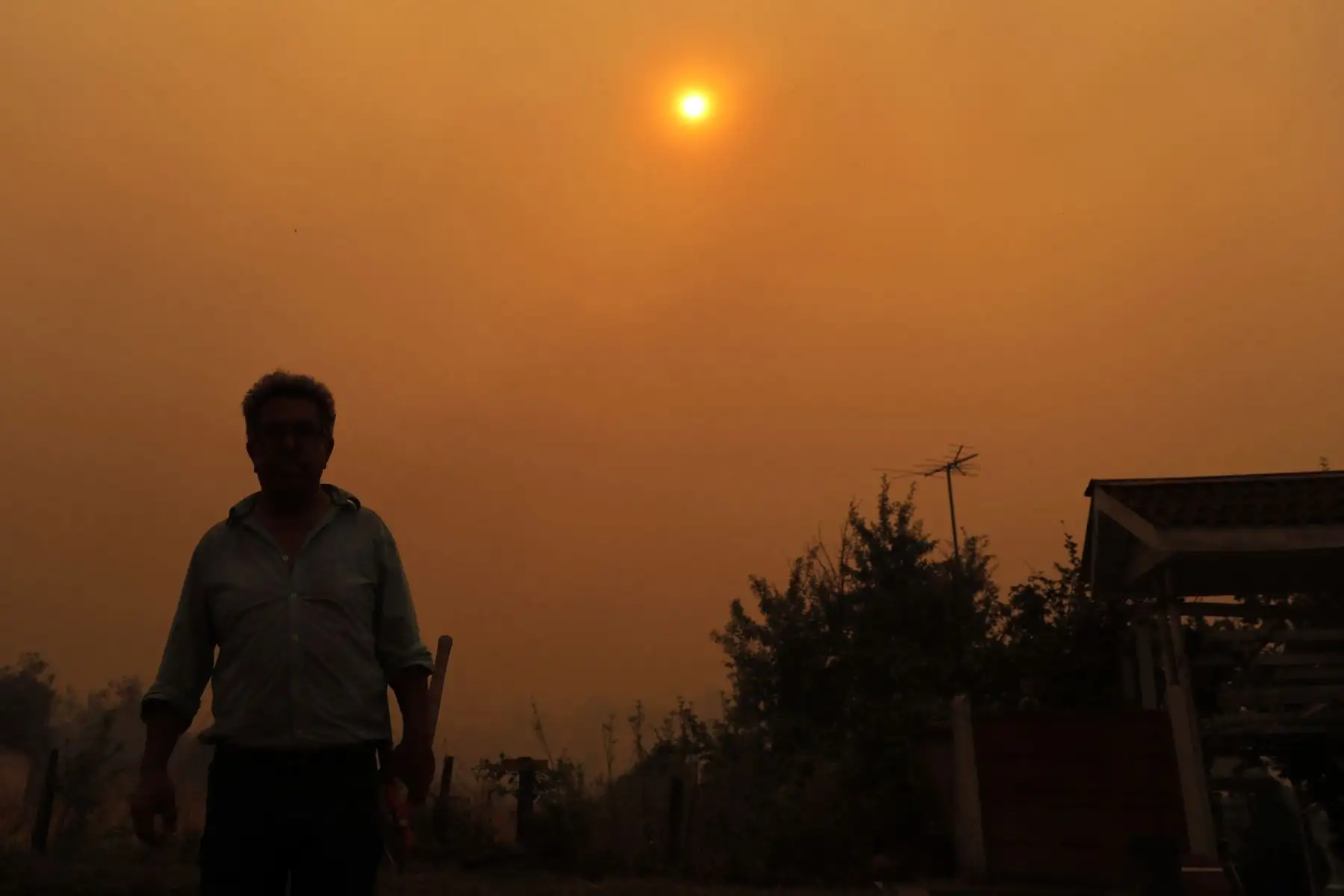 Chile declaró el estado de desastre en varias regiones del centro-sur después de que una devastadora ola de calor provocó incendios forestales que dejaron cuatro muertos, dijeron las autoridades. el viernes.

Foto: AFP