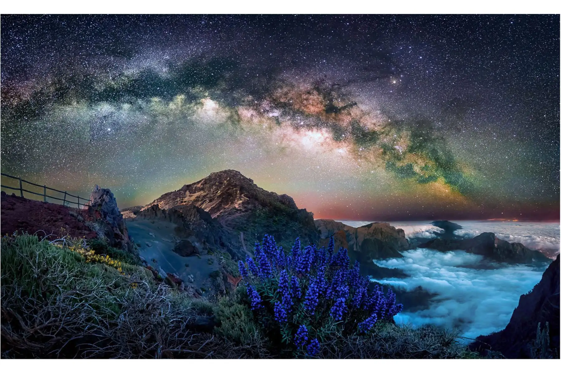 Tony North ha sido nombrado ganador de la competencia International Garden Photographer of the Year de este año.
Su foto fue tomada en la isla de La Palma, que forma parte de las Islas Canarias. 
Foto:Tony North