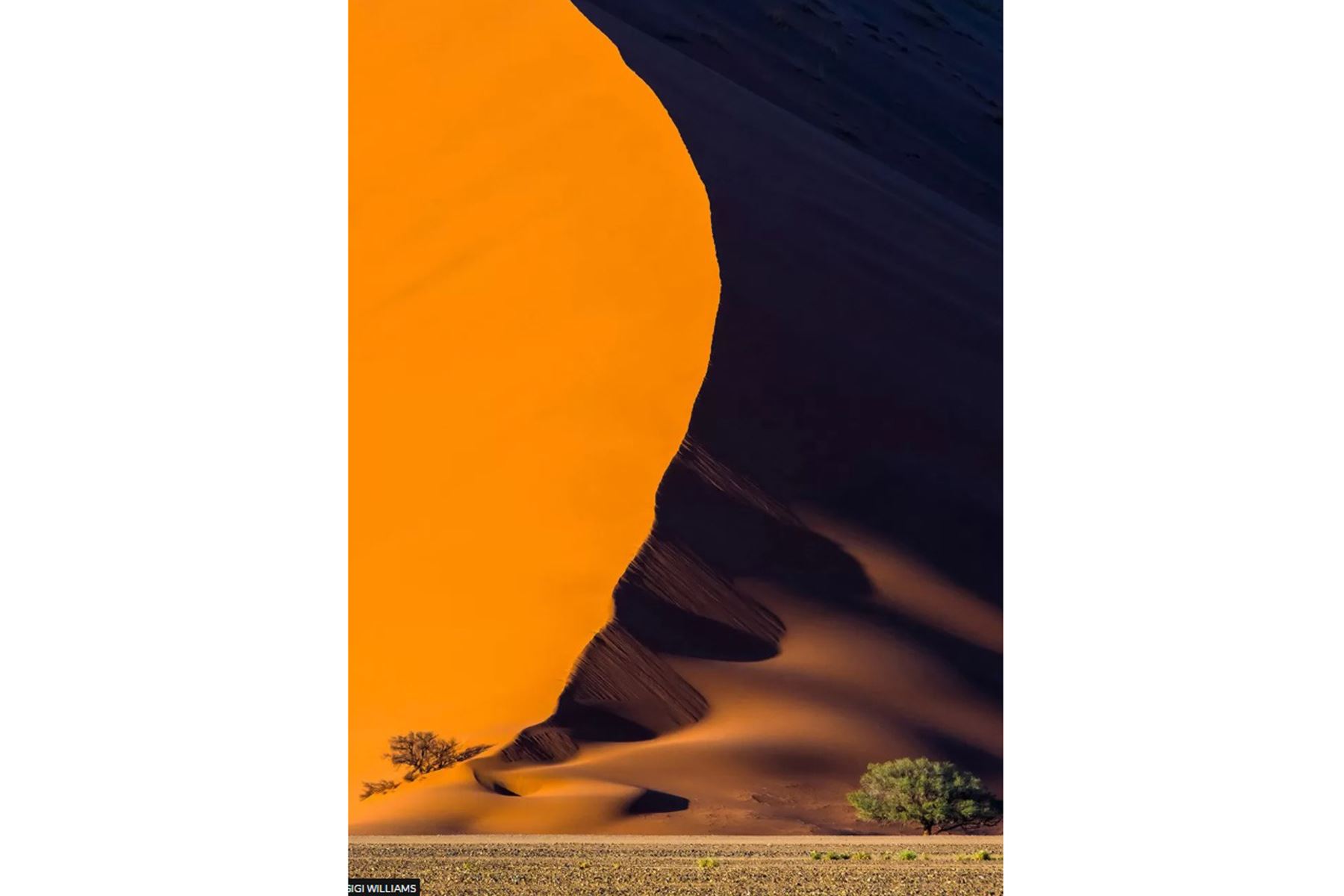 La fotografía de Gigi Williams del desierto de Namib en Namibia obtuvo el primer lugar en la categoría Plantas y planetas.
Foto:Gigi Williams