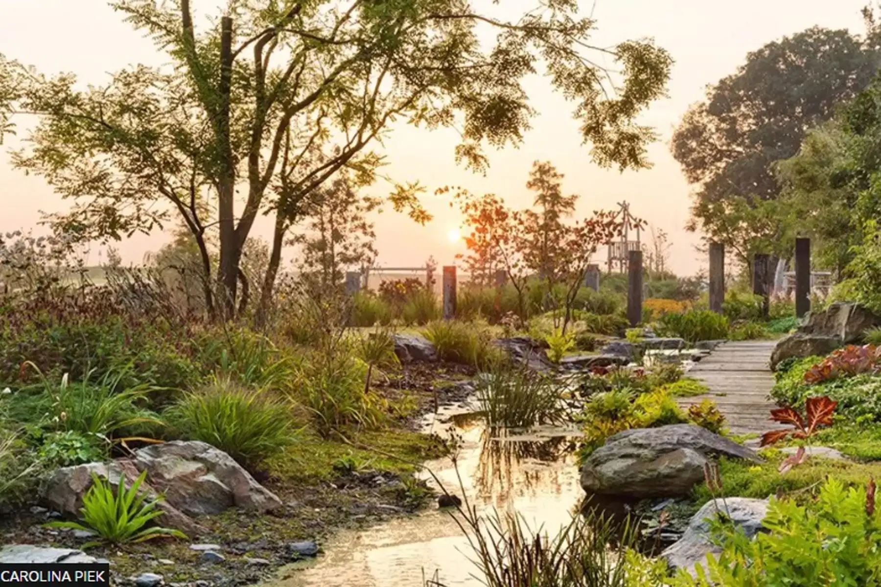 La categoría Jardín Hermoso fue ganada por Caroline Piek.
Su imagen muestra The Stream Garden en Waspik, Países Bajos, un jardín naturalista inmersivo.
Foto: Caroline Piek