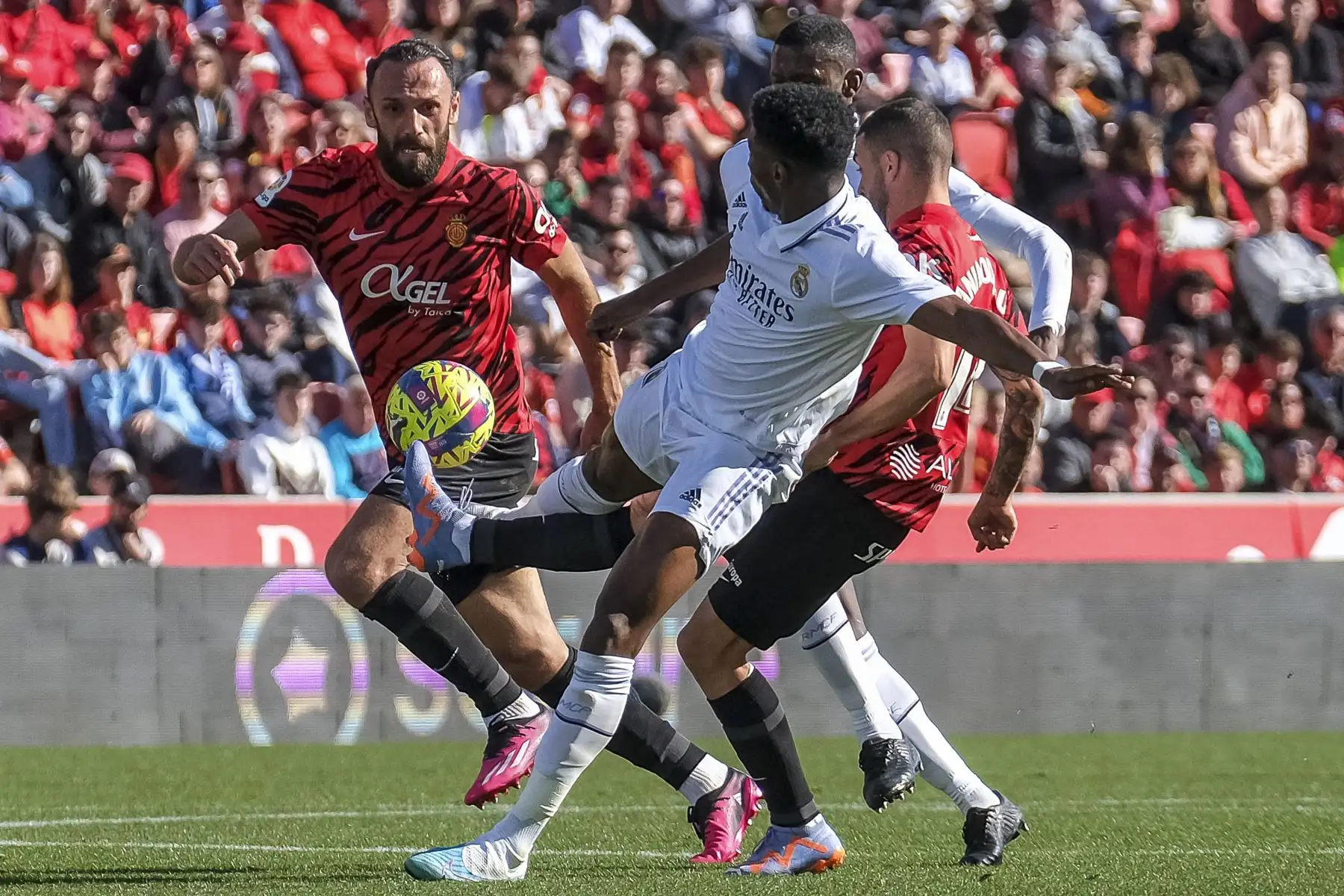 El delantero del Real Mallorca Vedat Muriqi disputa el balón ante el centrocampista del Real Madrid Djani Tchouameni durante el Partido de La Liga que juegan el Mallorca y el Real Madrid en el estadio de Son Moix.
Foto: EFE