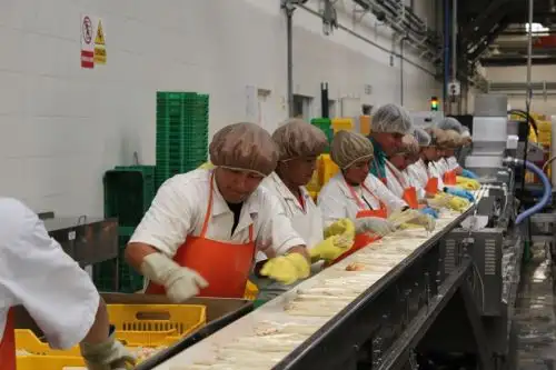 Exportaciones de espárragos