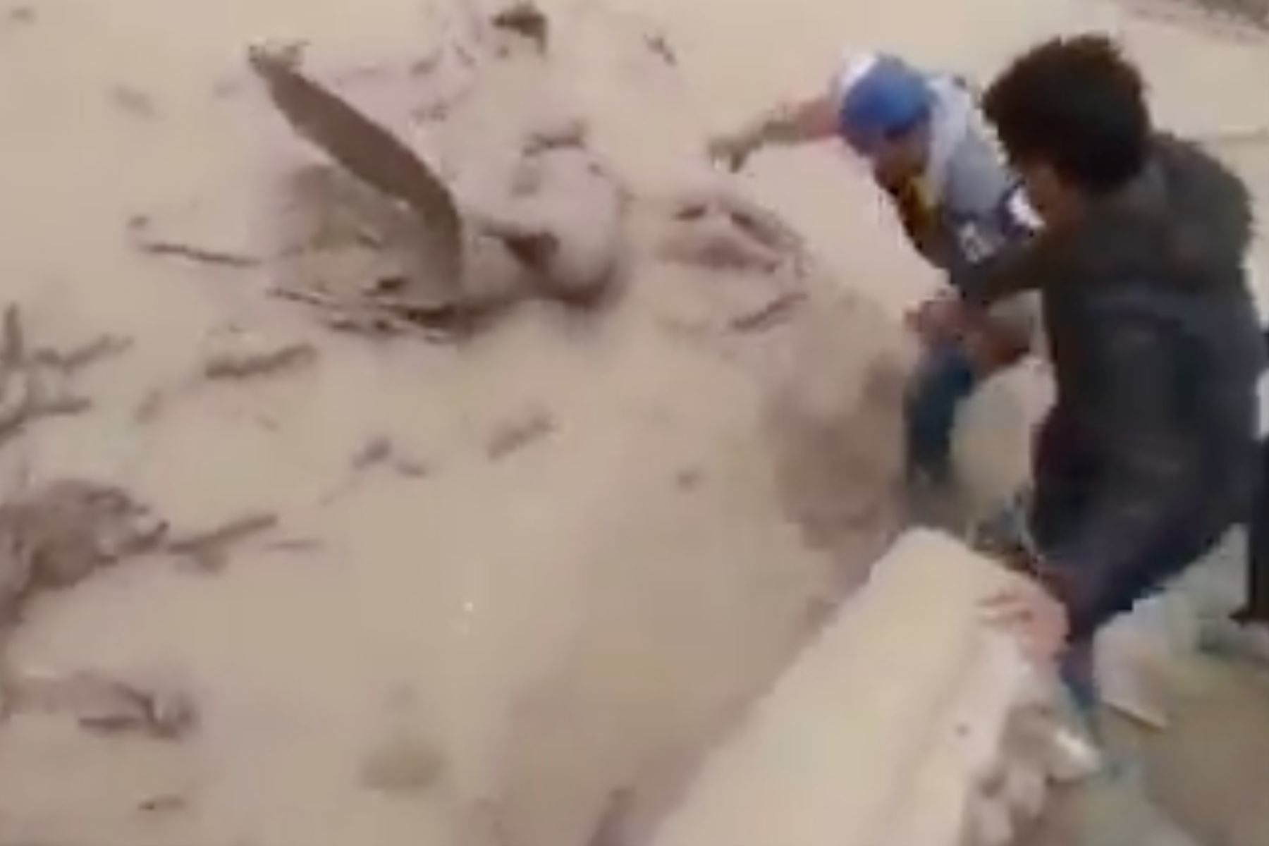 Vecinos del centro poblado Secocha rescataron a poblador que era arrastrado por huaico que causó cuantiosos daños en Camaná, Arequipa. Captura TV