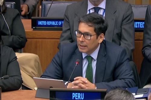 El ministro del Midis, Julio Demartini Montes, participó en el 61° Periodo de sesiones de la Comisión de Desarrollo Social (61CSocD) de la Organización de las Naciones Unidas (ONU). ANDINA/Difusión