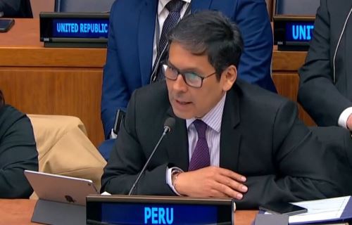 El ministro de Desarrollo e Inclusión Social (Midis), Julio Demartini Montes, participó en el 61.° periodo de sesiones de la Comisión de Desarrollo Social (61CSocD) de la Organización de las Naciones Unidas (ONU). Foto: Midis