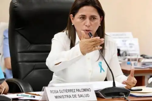 La ministra Rosa Gutiérrez expuso ante Comisión de Salud y Población principales avances y logros de su gestión. Foto: Minsa