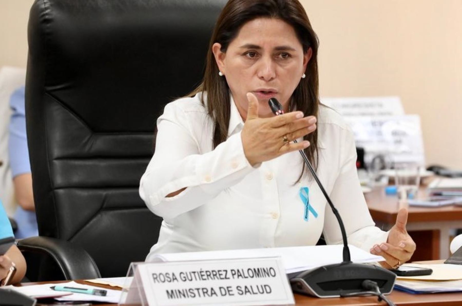 La ministra Rosa Gutiérrez expuso ante Comisión de Salud y Población principales avances y logros de su gestión. Foto: Minsa