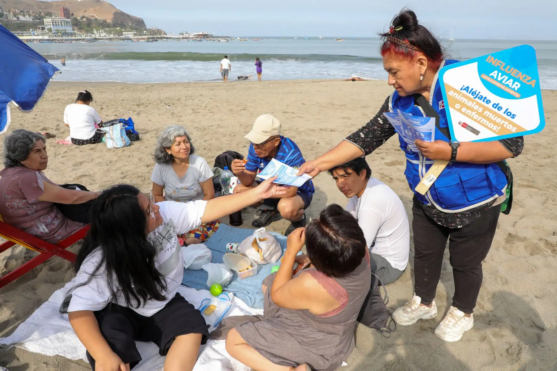 En la playa Agua Dulce, el Minsa en coordinación con la Municipalidad de Chorrillos, realizó la campaña “Influenza Aviar: juntos podemos prevenirla”, donde se recomendó a los veraneantes no tener contacto con aves o mamíferos marinos y tener hábitos de aseo personal luego de ir a la playa.

Foto:ANDINA/MINSA