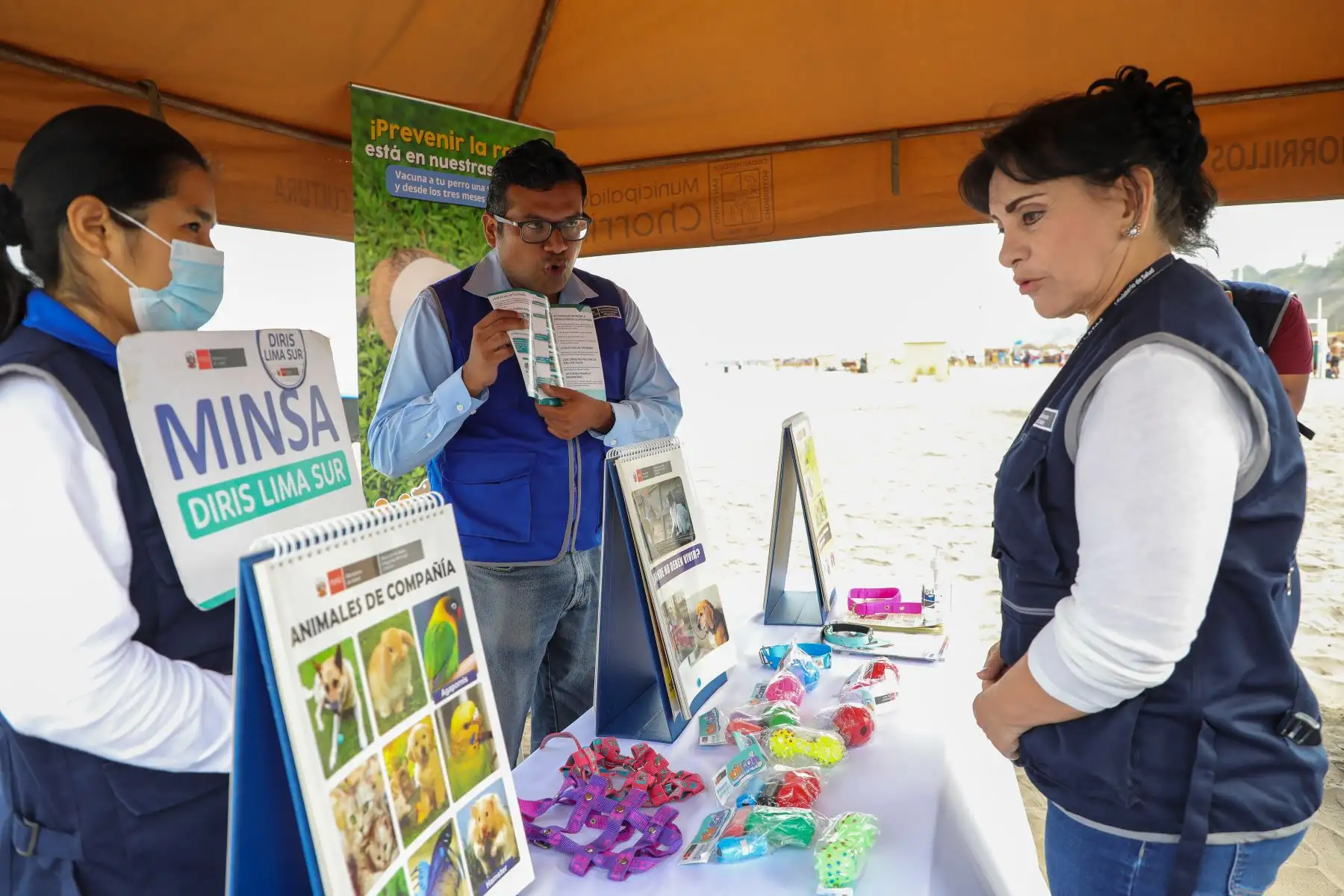 En la playa Agua Dulce, el Minsa en coordinación con la Municipalidad de Chorrillos, realizó la campaña “Influenza Aviar: juntos podemos prevenirla”, donde se recomendó a los veraneantes no tener contacto con aves o mamíferos marinos y tener hábitos de aseo personal luego de ir a la playa.

Foto:ANDINA/MINSA