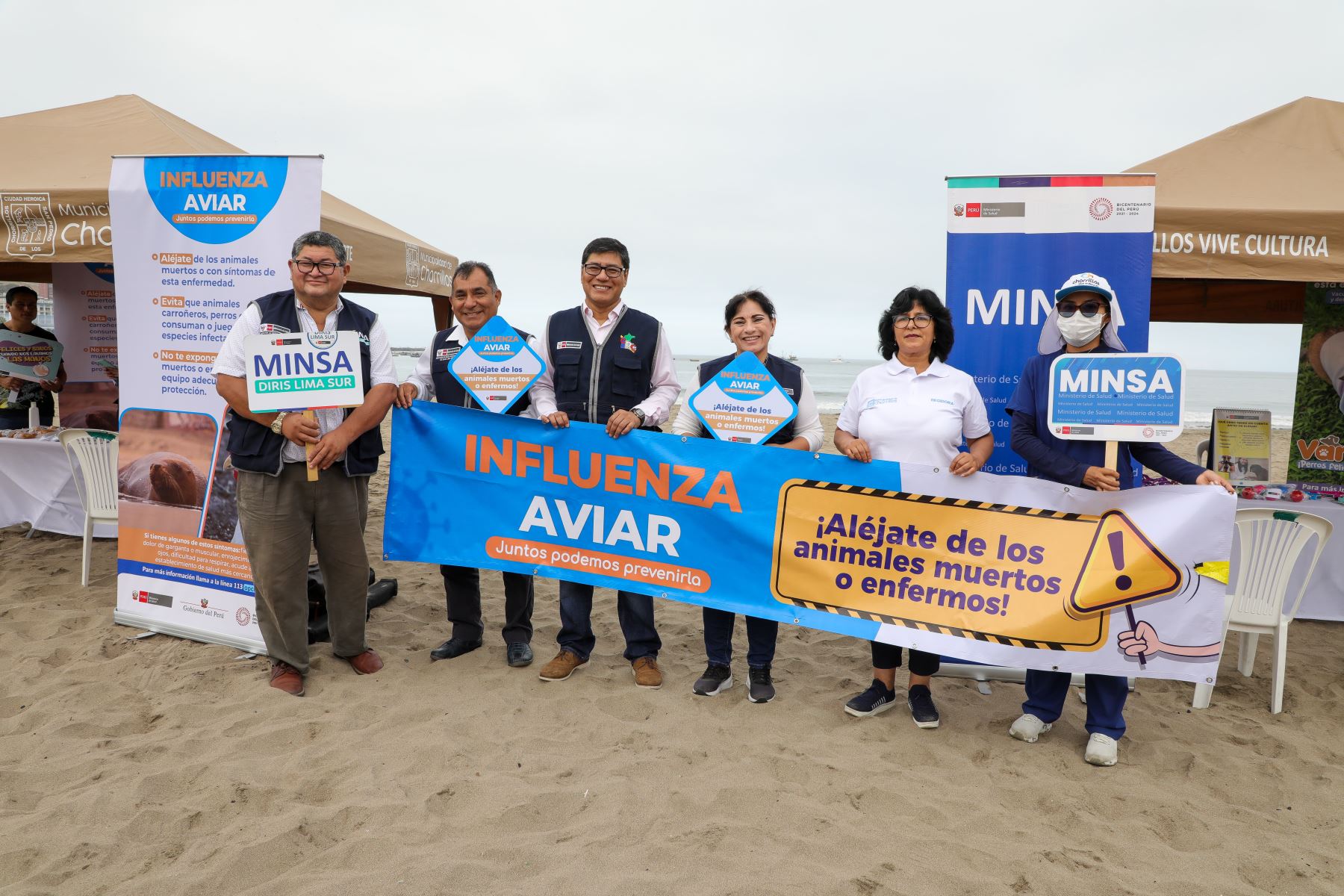 Minsa se recomienda evitar el contacto con aves o mamíferos marinos para prevenir casos de influenza aviar. Foto: ANDINA/Difusión