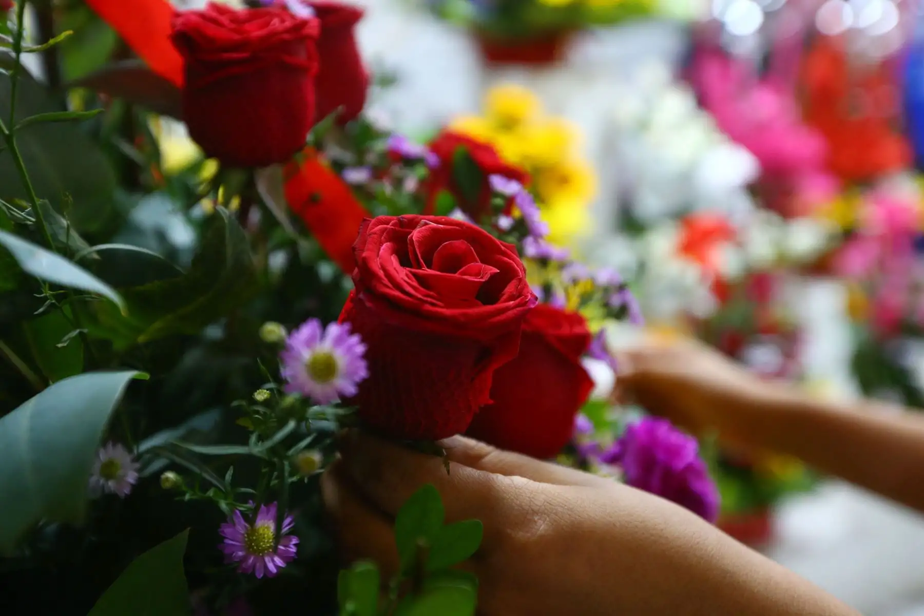 Previo al Día de San Valentín, que se celebra este martes 14 de febrero , ciudadanos asisten al Mercado de Flores y Mercado Central para comprar los regalos y sorpresas para sus parejas y amistades.
Foto: ANDINA/Eddy Ramos