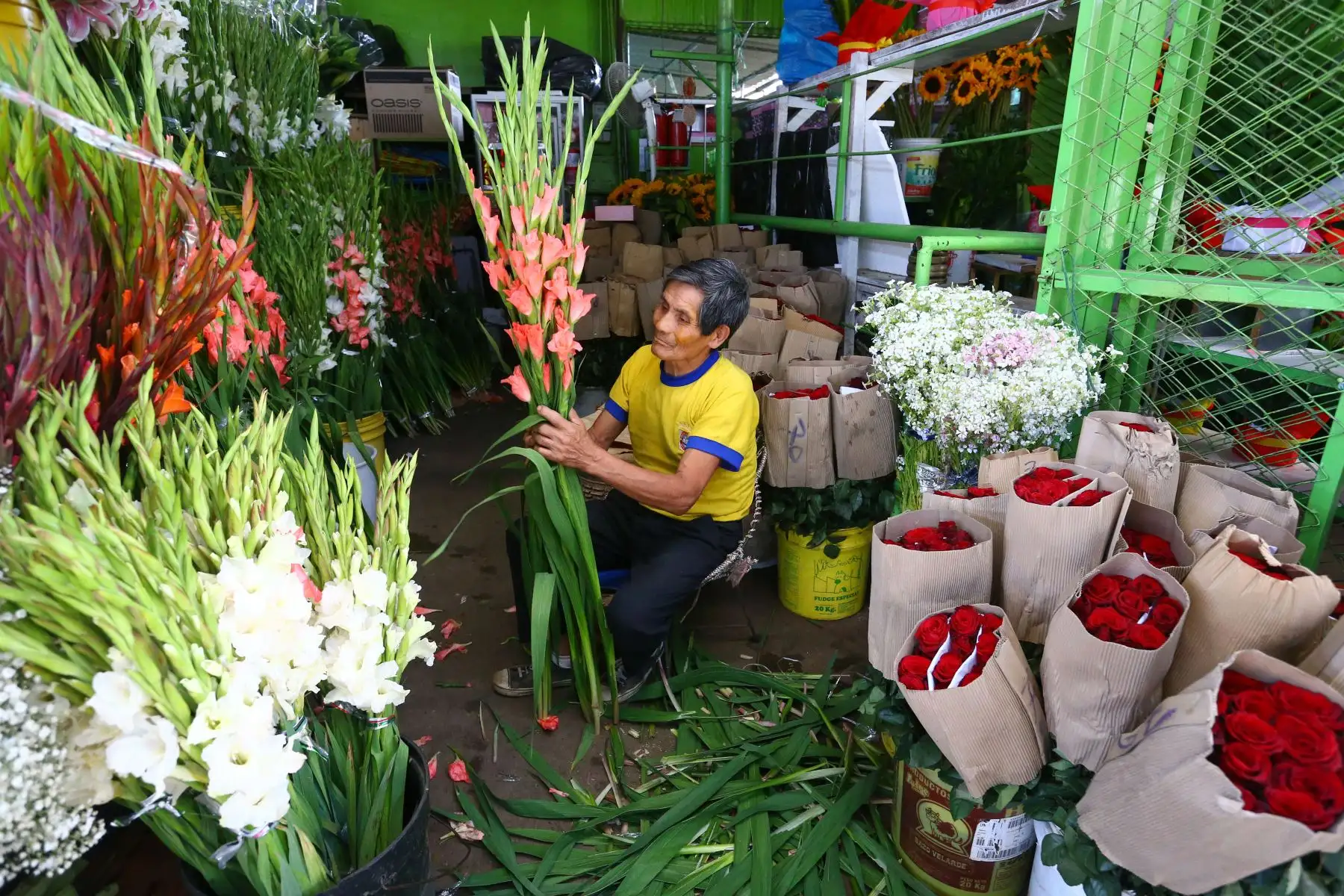 Previo al Día de San Valentín, que se celebra este martes 14 de febrero , ciudadanos asisten al Mercado de Flores y Mercado Central para comprar los regalos y sorpresas para sus parejas y amistades.
Foto: ANDINA/Eddy Ramos