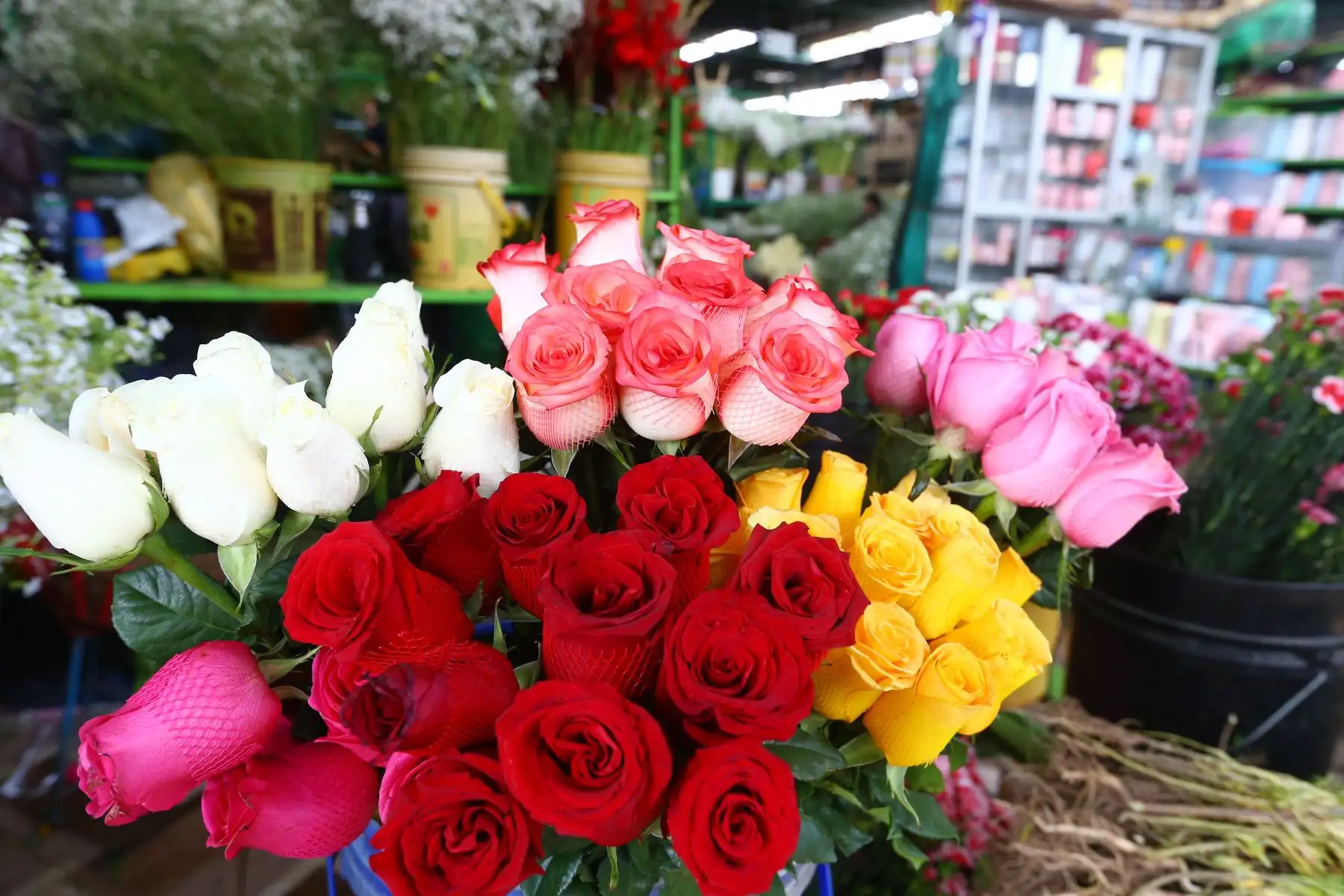 Previo al Día de San Valentín, que se celebra este martes 14 de febrero , ciudadanos asisten al Mercado de Flores y Mercado Central para comprar los regalos y sorpresas para sus parejas y amistades.
Foto: ANDINA/Eddy Ramos