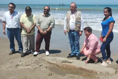 Ante la alerta de la presencia de un petroglifo en la playa de La Tucilla, en el distrito de Zorritos, provincia de Contralmirante Villar, llegaron al lugar estudiosos de la Dirección Desconcentrada de Cultura y regidores de la municipalidad provincial de Contralmirante Villar, para rescatar el bien arqueológico.