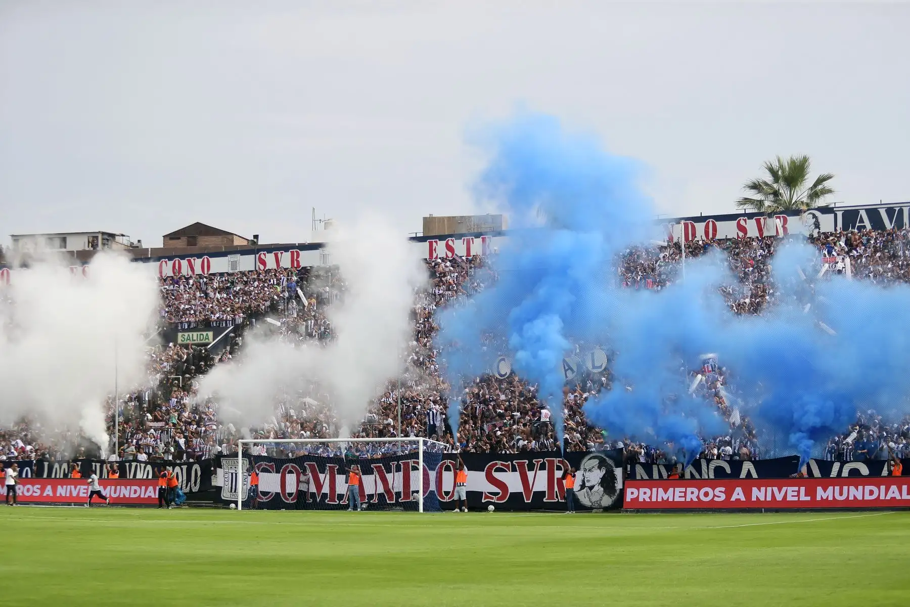 Alianza Lima juega su primer partido por la cuarta fecha de la Liga 1 contra el Sport Boys en  el Estadio Matute.

Foto: ANDINA/Ricardo Cuba