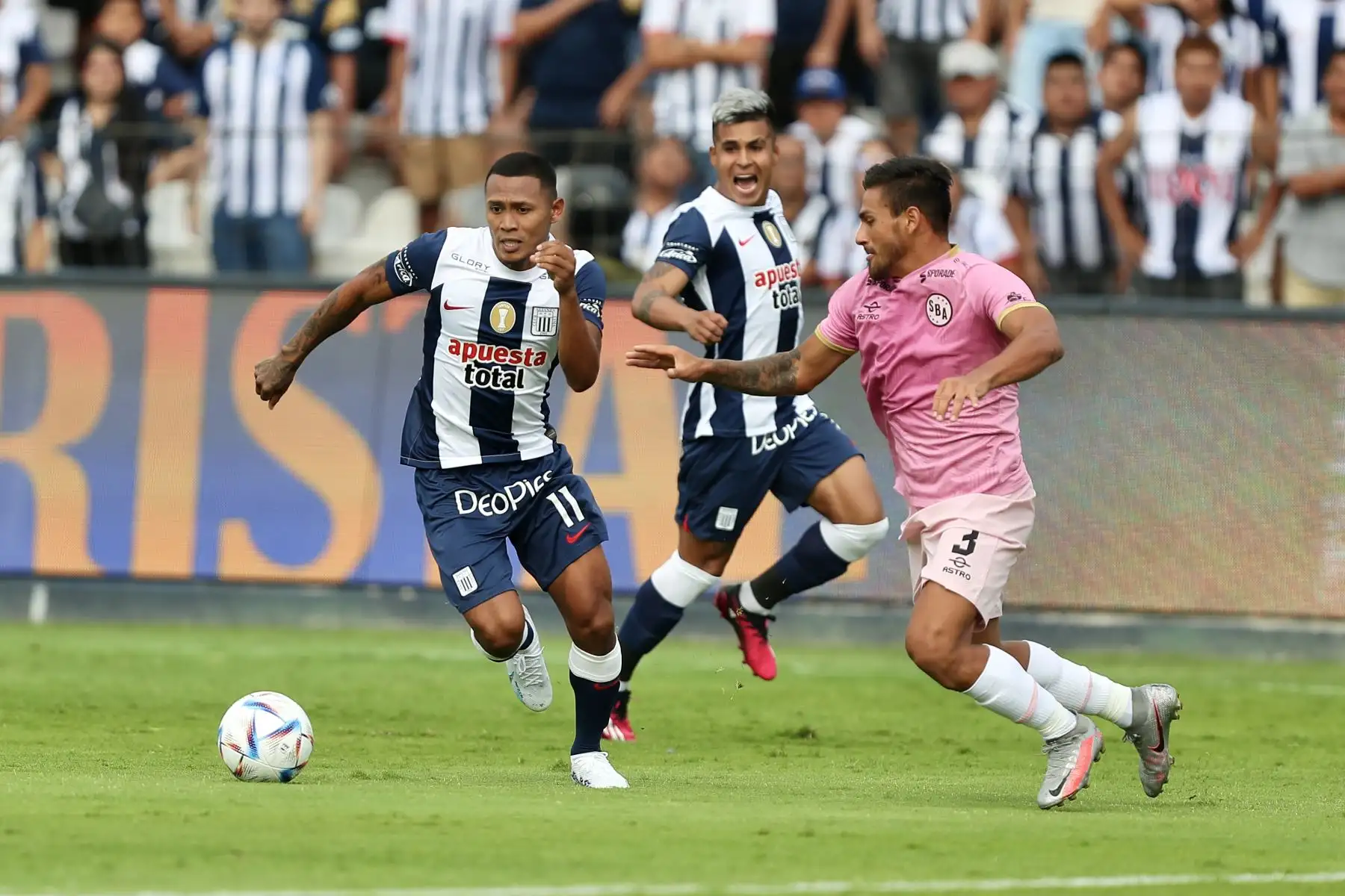 Alianza Lima juega su primer partido por la cuarta fecha de la Liga 1 contra el Sport Boys en  el Estadio Matute.

Foto: ANDINA/Ricardo Cuba