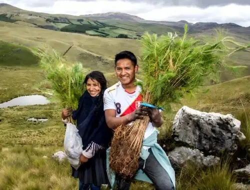 Iniciativa impulsa la plantación de un millón de árboles en la provincia de Cajamarca. ANDINA/Difusión