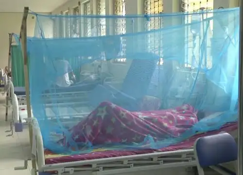 En Lambayeque viene circulando, tras ser confirmado por el Instituto Nacional de Salud, el dengue 1 y el dengue 2, cuyos síntomas de este último son más severos. Cortesía