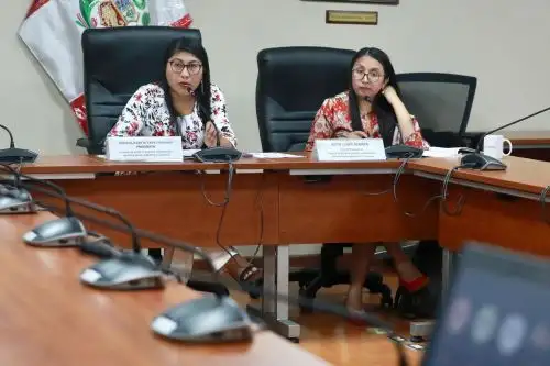 Incluyen el enfoque de interculturalidad en el Sistema Nacional de Seguridad Ciudadana