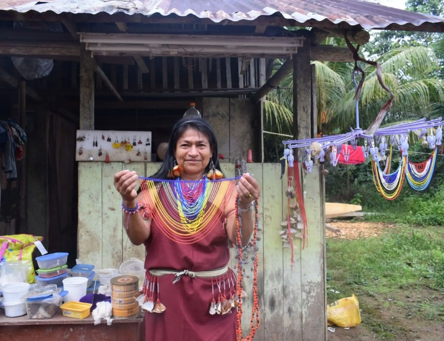 Comunidades nativas y pequeños productores de Loreto, Madre de Dios y San Martín pueden acceder a financiamiento de sus planes de negocios sostenible a través del fondo que otorga el Programa Bosques del Minam. ANDINA/Difusión