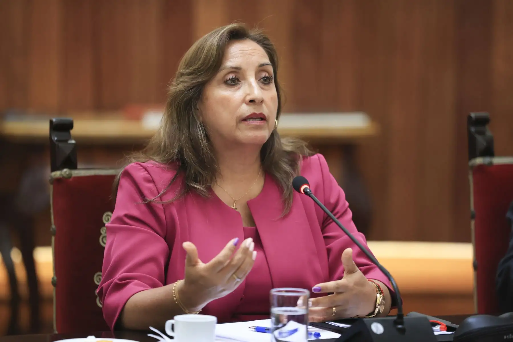 ANDINA/Prensa Presidencia