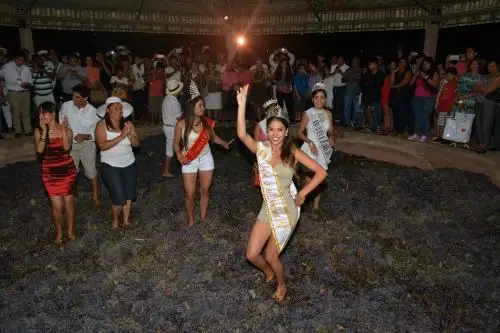 Ica se prepara para celebrar el Festival de la Vendimia 2023 después de cuatro años de suspensión. Foto: Genry Bautista