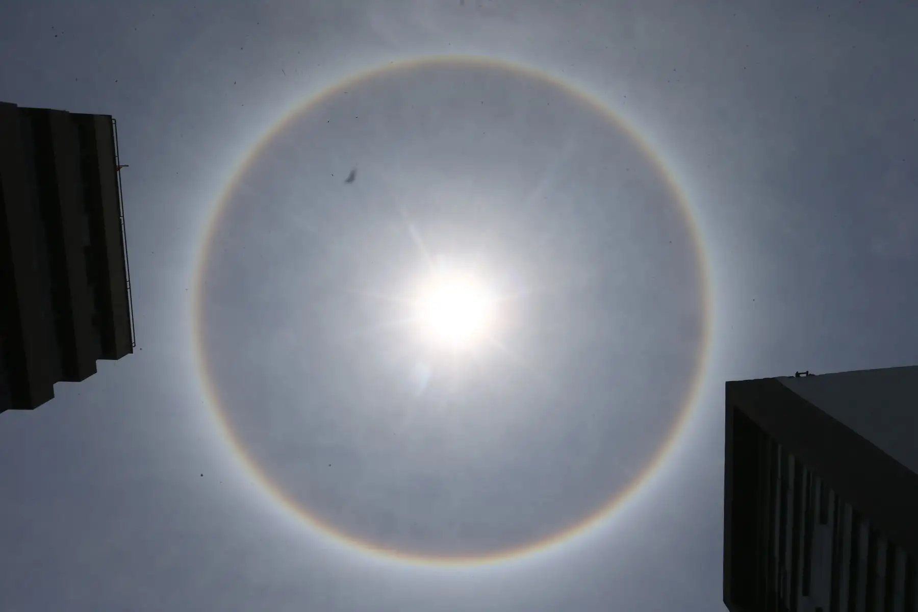 Halo solar ocurre cuando el cielo está despejado. Expertos aconsejan verlo con lentes oscuros para no dañar la vista. Foto: ANDINA/Eddy Ramos