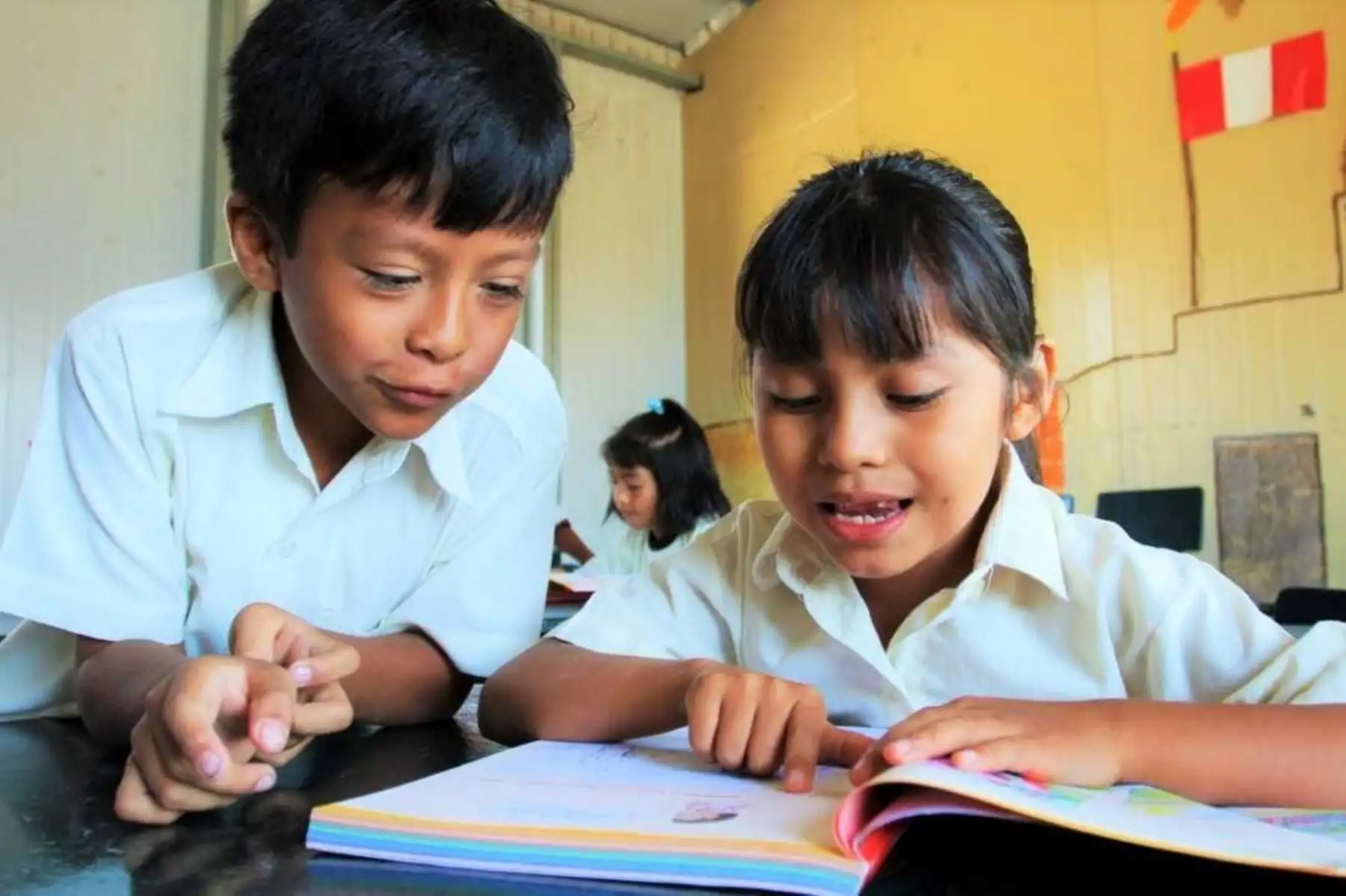 Textos escolares piratas son de menor calidad, con contenidos desactualizados, erróneos e incompletos. Foto: ANDINA/Difusión