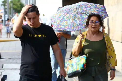 “Para vivir hay dos elementos centrales: el oxígeno y el agua. Un cerebro sin la adecuada hidratación y oxigenación es una máquina recalentada”, manifestó Jorge Luis Solari, médico internista del hospital Edgardo Rebagliati. Foto: ANDINA/Eddy Ramos