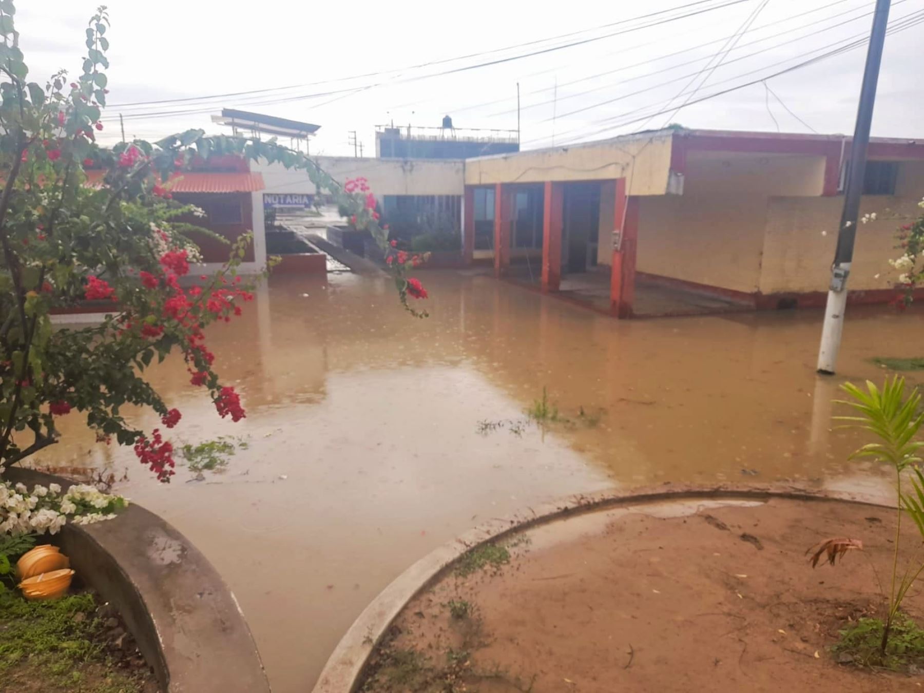 Aguas Verdes y Zarumilla fueron los distritos más afectados por la lluvia intensa que se registró esta madrugada en la región Tumbes. ANDINA/Difusión
