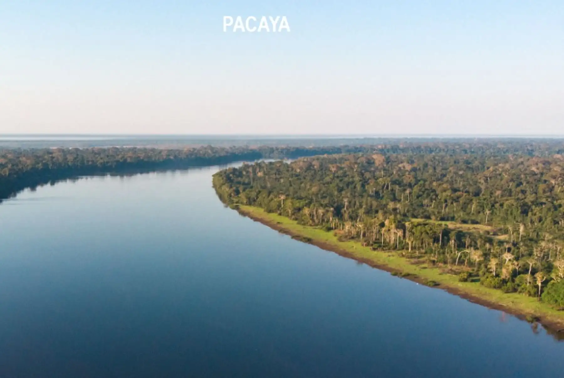 Ubicada en la región Loreto y con una extensión de 2 millones 80,000 hectáreas, la Reserva Nacional Pacaya Samiria es uno de los destinos turísticos amazónicos más notables del Perú gracias a su deslumbrante belleza paisajística y porque conserva una vasta biodiversidad sin parangón en el planeta.