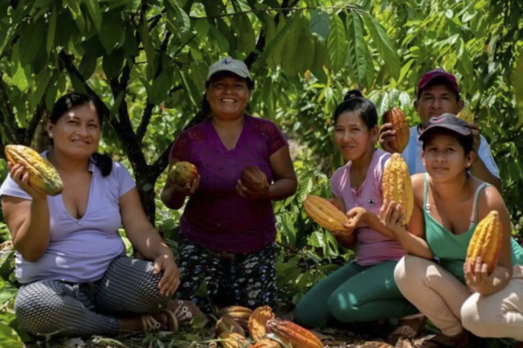 Se trata del primer programa de financiamiento para este tipo de actividades económicas promovido por el Gobierno. Foto: ANDINA/Minam