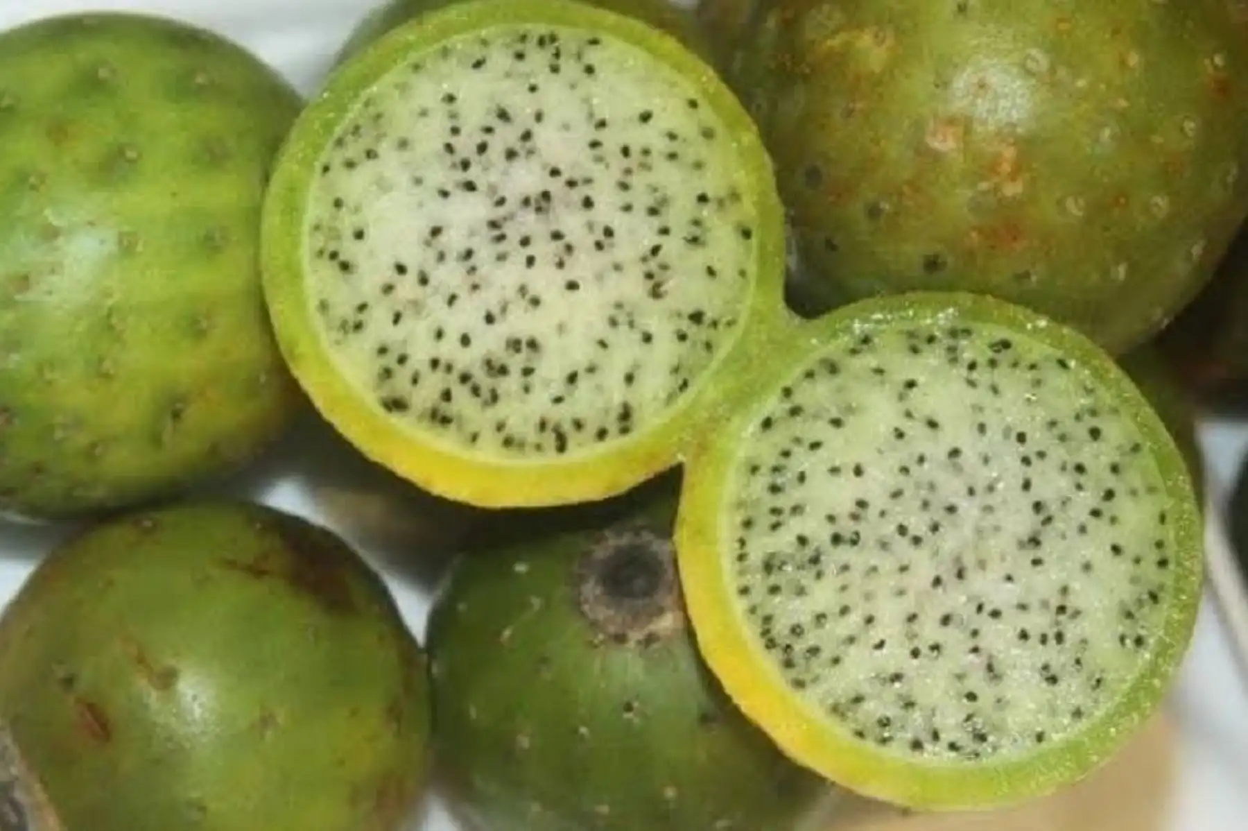 Conocido como el “energizante de los incas”, el sanky es una fruta oriunda de los Andes peruanos que es considerada un auténtico prodigio alimentario al contener un conjunto de nutrientes antioxidantes que optimizan el funcionamiento del organismo. Asimismo, fortalece el sistema inmune ayudando a prevenir y aliviar enfermedades como la gastritis y otras del sistema digestivo, evitar la calvicie y proteger el hígado, entre muchos otros beneficios para la salud.