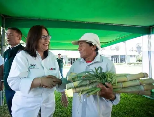 Foto: ANDINA/difusión.