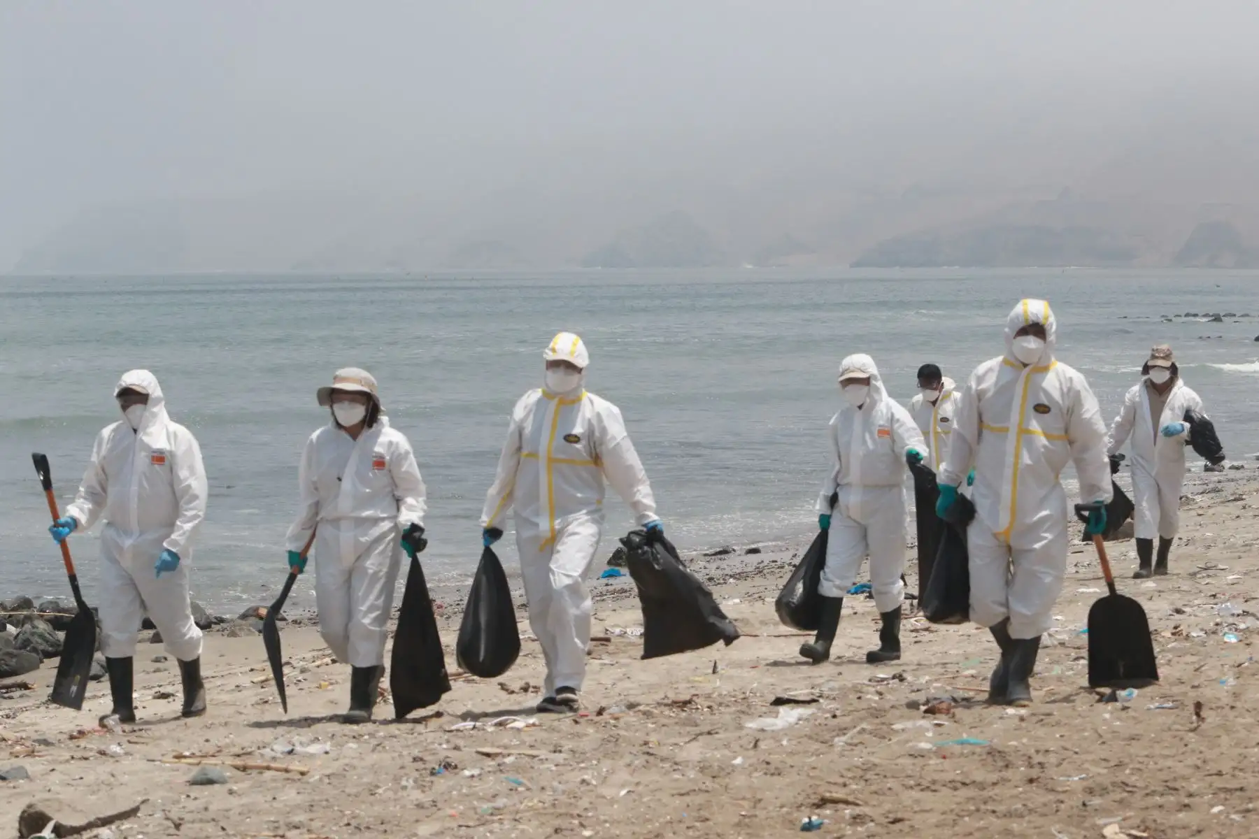 Sernanp y la Municipalidad de Ancón realizan recojo de aves muertas  afectada por la influenza aviar.
FOTO:ANDINA/Hector Vinces.
