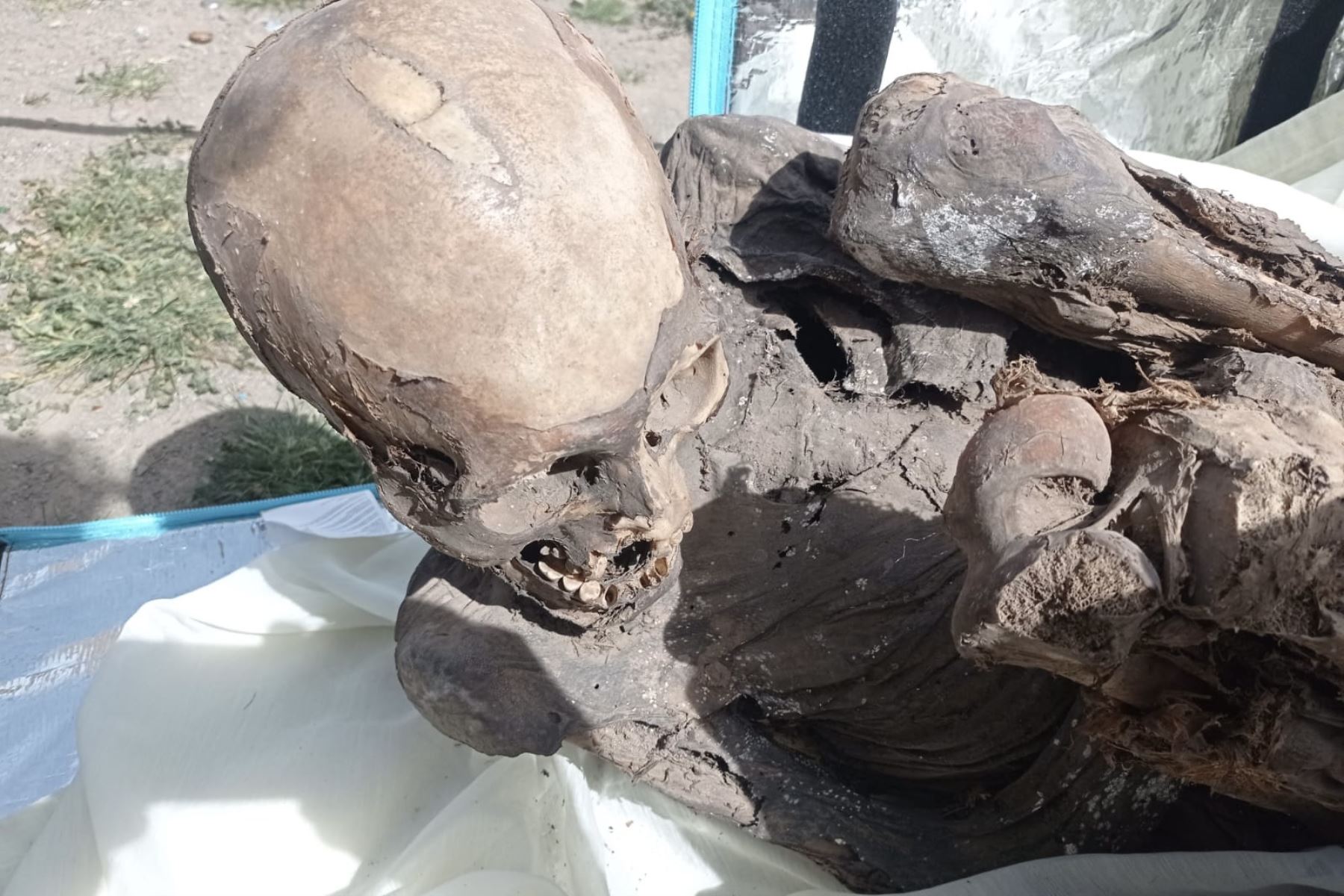 Ministerio de Cultura reportó el hallazgo de una momia prehispánica en la región Puno. ANDINA/Difusión