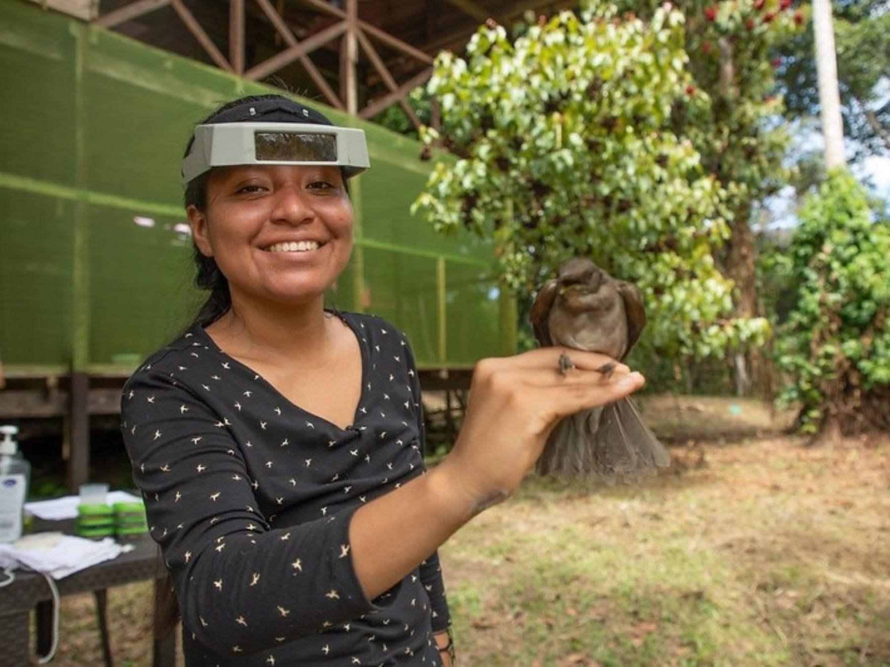 Con su estudio sobre las aves, Tatiana García, una joven estudiante loretana becada por Pronabec, ayuda a la conservación de la biodiversidad de la Amazonía peruana. ANDINA/Difusión