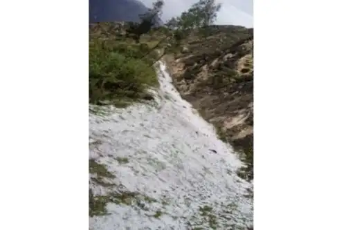 La Oficina de Gestión del Riesgo de Desastres de la municipalidad distrital de Chingalpo informó que a consecuencia de las granizadas fueron afectados cultivos de maíz, papa y trigo.