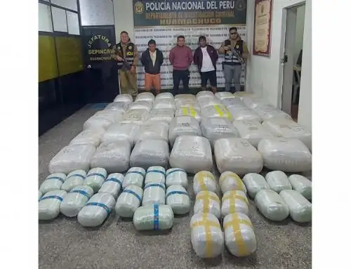Agentes de la Policía Nacional incautan más de media tonelada de marihuana en carretera a Huamachuco, en la sierra de La Libertad. ANDINA/Difusión