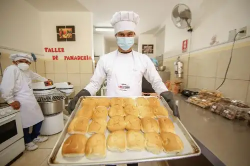 El Conadis difunde 22 ofertas laborales para personas con discapacidad. Foto: Conadis