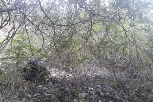 La víctima habría fallecido el pasado domingo 26 de febrero. Se sospecha que fue arrojada desde una pendiente de más de 15 metros de profundidad.
